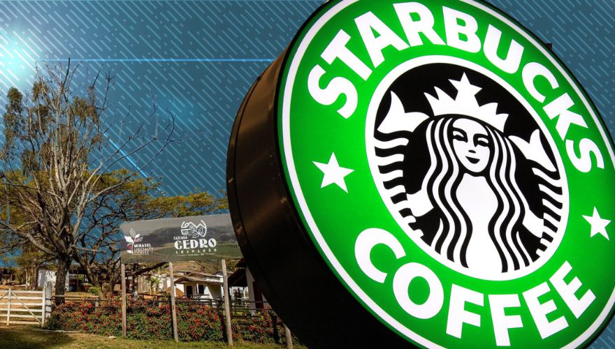 Starbucks Sued for Allegedly Buying Coffee Beans from Brazilian Farms Using Child Labor