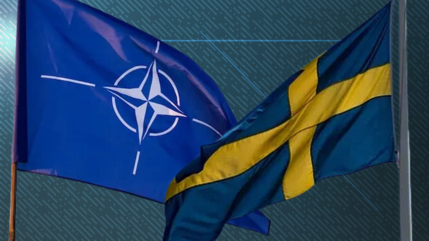 Every NATO Country Already Has Military Personnel In Ukraine, Foreign Official Says