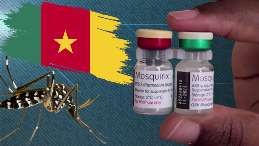 Cameroon Launches First Malaria Vaccination Program for Minors