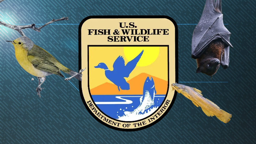 Fish and Wildlife Service Declares 21 Species Extinct
