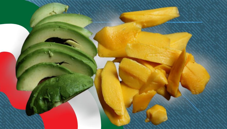U.S. Halts Safety Inspections of Avocados and Mangos in Mexican State Over Security Concerns