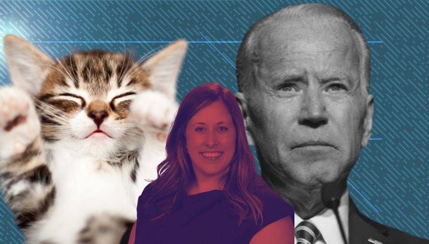 EXCLUSIVE:  Biden’s Assistant VA Secretary Lies to Congress About Painful Cat Testing