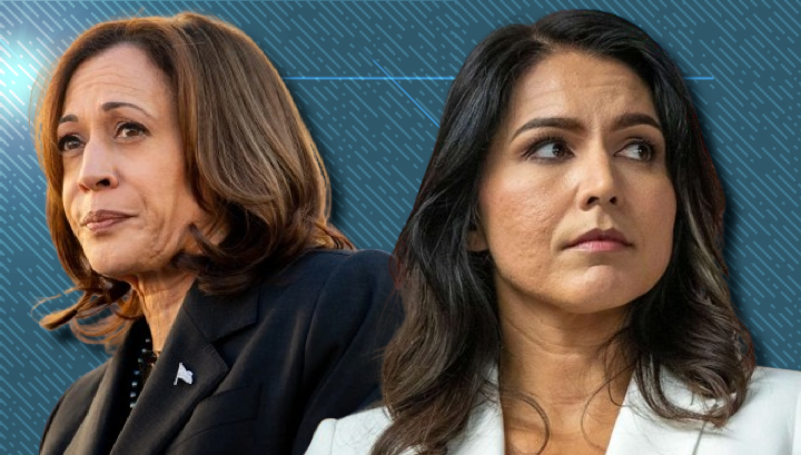 'Incapable,' 'Unqualified': Tulsi Gabbard Tees Off on Kamala Harris