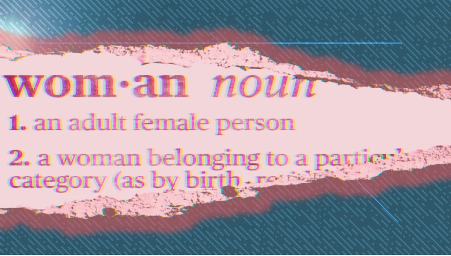 Illinois Library and Elementary School PTO to Host 'Pronoun Seminar' for Children Considering Sex Changes