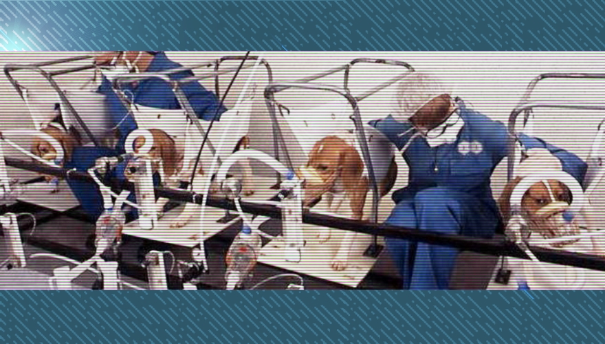 House Panel Defunds Chinese and Russian Animal Testing Facilities, Including the Wuhan Lab